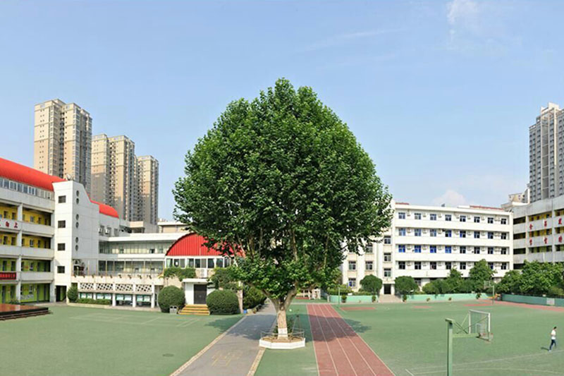 1E6DA